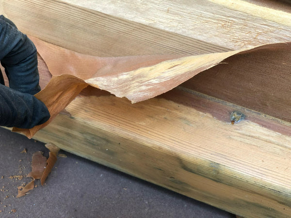 Fenêtres en bois abîmées par le temps ? Avec ces astuces de pro, elles retrouveront leur éclat d’antan !
