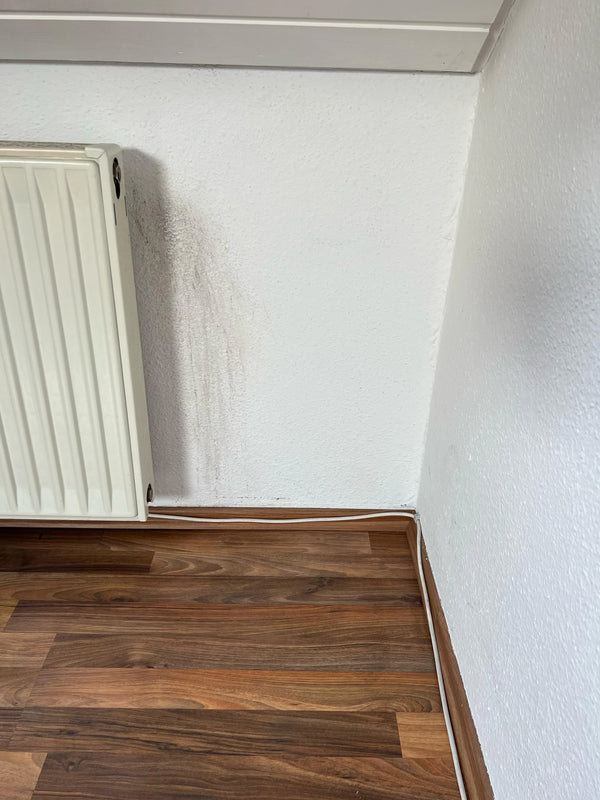 Taches d’eau sur le mur ou le plafond ? Voici comment les éliminer définitivement