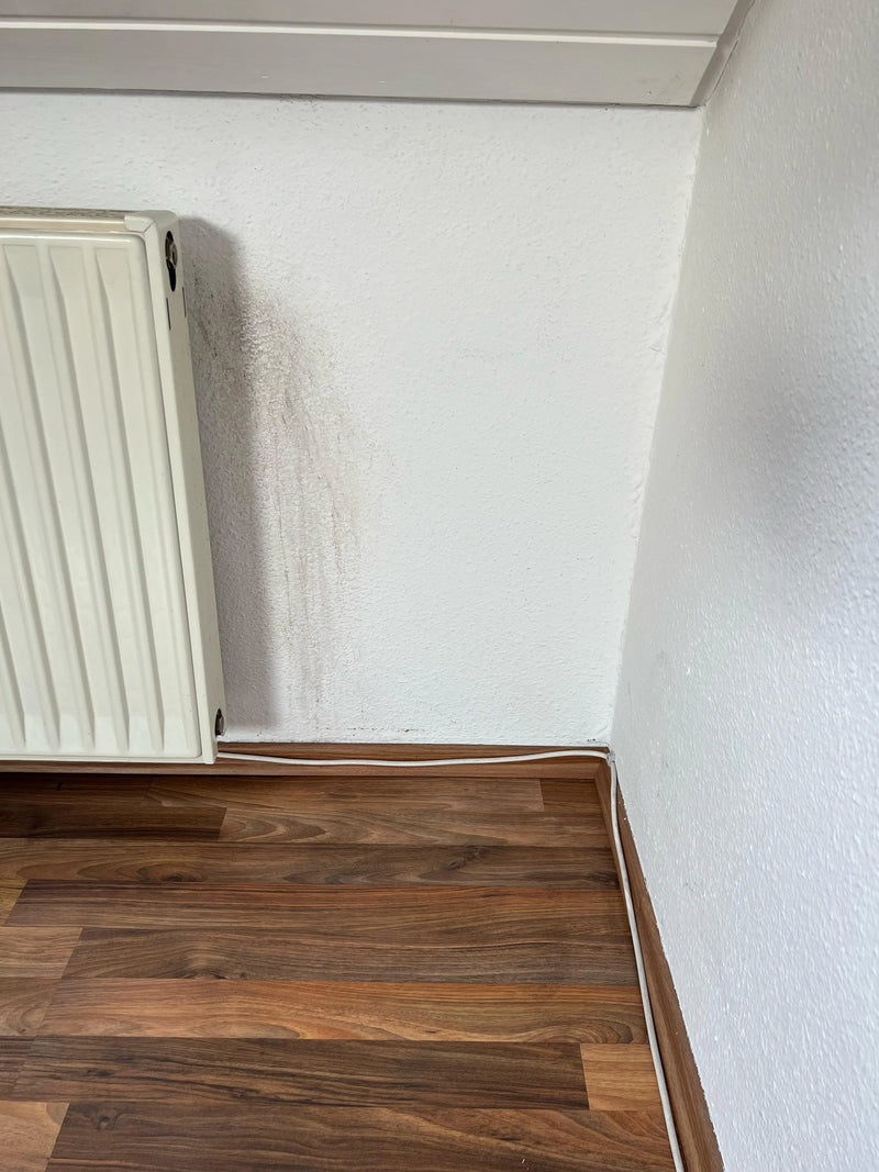 Taches d’eau sur le mur ou le plafond ? Voici comment les éliminer définitivement