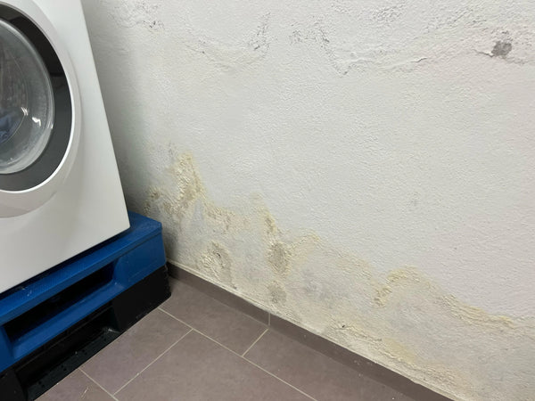 Taches d’humidité sur les murs de cave – Identifier les causes et rénover correctement