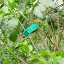 Attaches pour plantes_système Velcro