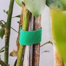 Attaches pour plantes_vue rapprochée