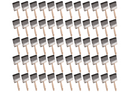Brosse plate SolidPro M noire_100 mm_60 pcs