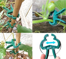Clips de fixation pour plantes_en action