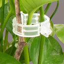 Clips pour plantes_en action