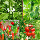 Clips pour plantes_en action_examples