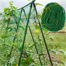 Filet de palissage pour plantes déroulé