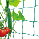 Filet de palissage pour plantes_en action