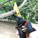 Sécateur_de_jardin_Premium_Titane_en action