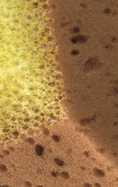 Éponge synthétique ⎥ 150 × 90 × 60 mm