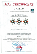 Lot de 5 Disques Abrasifs à Lamelles ∅ 125mm BOIS/MÉTAL