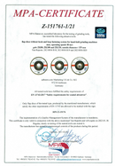 Lot de 5 Disques Abrasifs à Lamelles ∅ 125mm INOX/ACIER